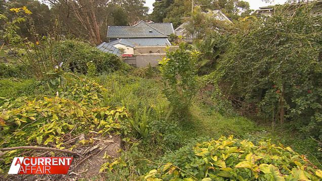 SGXdClU0JnVot0W_v5jKI1bmk1MdY6QwvqFJYW6mv9W9e2_dLSwuKGf01RciKqtFqbA1TNb204kc8YRVxcu5VXs_VB7n6IbdQqfJVKP9HH2z0jhR2nt07w6nLb0k2-Rnn3Cg5fhPLMnCpMvAQa5liA