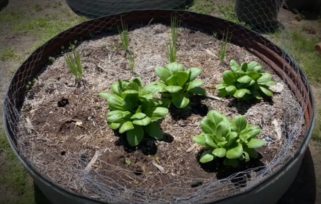 3LGlioJOGwc4ADxTZyITiDFXR_pJMqL5PhosjNnNHSKxZUEejstbuTdaAUGMHJ6wM0w7v_tUWzi-InBNfrXOhLQLyG0nH_TbeCHs2KsnU3DS38l21jQq9LH6gqPOYTB9UlQFKyYygy-lhQYE