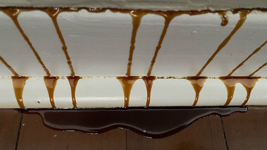 8p1quAWXkDZBULdUZRG1ODMTIl6lP4lAy2CLTP7d36QdfjxKlrbLUdhuB7hOAhKaczC08huKEUqJL1S6-FGlOtllVFRHkpcz7I1bY0kikQ2aYc3OaR78kAp9QpYuxDfMZvUFPx2K