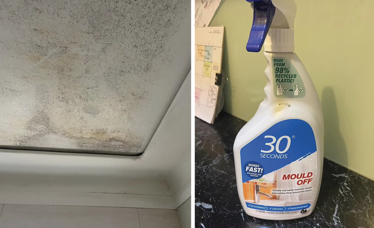 BD9t-NVlpyFTwuRx60teoB_a8gkJXdXHMjMT9c6u_PdbozZfrnioalkm9z0oeV1pDI0M8Ygdo-Rcxbp5lWgbmlR8lwTqJ4n9p92zveLIzSkcR9PGpV9_Jpt39pTvEV_Rftykx_kBo6h0O57ZJ5EHFZk