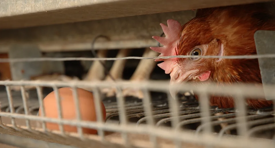 KT4VjkDFwBFemYzYxllF_W7un4PzgH5D8a2yblgRDMsPnew7lpmv7yzrRe3vGInoQvRU-kdyjhQPAON1509TH8o1rlyzUe9rtwyi9_fcXmzRVqcPIv_uevMLe_s-LzW_cgZm2NeZhOl2Uo_oh4KXxQ