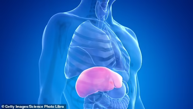 Lm7GWCsVdyQUbIvn79GAg1LJe3YGWnacyWyVDJJNLapDEVf347pkOMRTUNEophiGDSZrIfQwy_rzVVpf5SsPQzHS0SOlHiHkfWdpYisTKNdcYhRs4O-yeabJKOdBQWF1lCc6QDC6YPJqoEehcXFO9Q