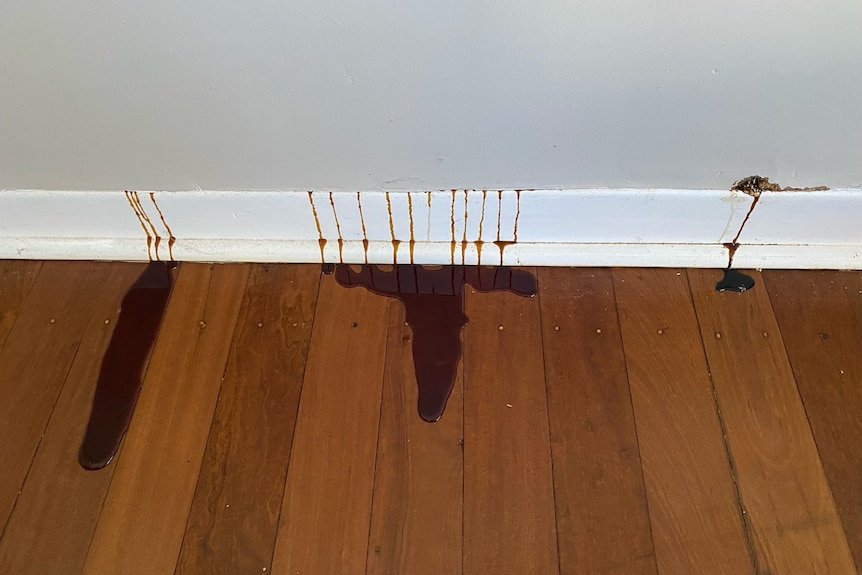 UcMWxtZ8-mpSpcioartjxsA1tCIv5uvVz9qnWsw4rt1QOhLriWiCL5uuo-lGU9TtaY1e8BdaXv4yrbLEqhih7aIlfuqeccg3ObUJ6CltSfeo6SWv4xTqb48pei49Mf_pYu6nYSam