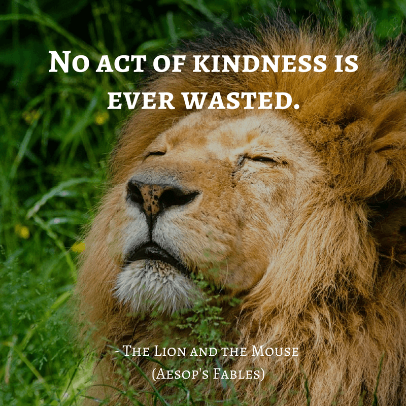 Life Lessons From Aesop's Fables _ the lion and the mouse quotes Life Lessons From Aesop's Fables _ the lion and the mouse quotes