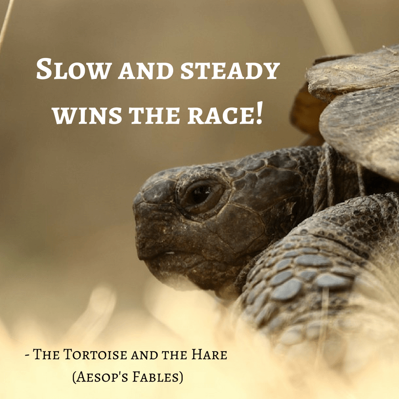 Life Lessons From Aesop's Fables_ the tortoise and the hare quotes Life Lessons From Aesop's Fables_ the tortoise and the hare quotes